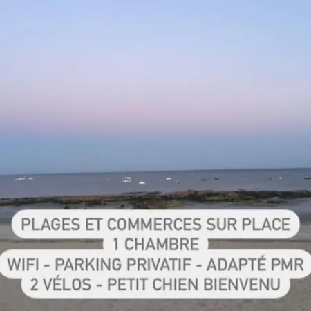 Ty Dolmen Du Plages A Pied 2 Velos Wifi Apartment *